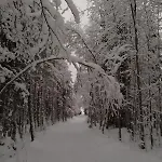 Norva Saarenkylä