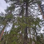 Διαμέρισμα Norva Saarenkylä