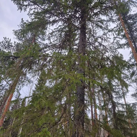 Διαμέρισμα Norva Saarenkylä