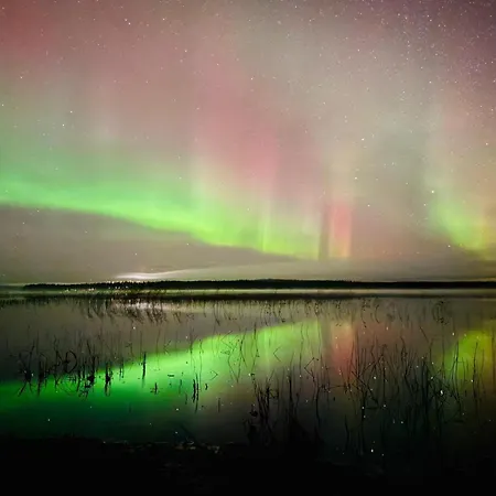 Norva Διαμέρισμα