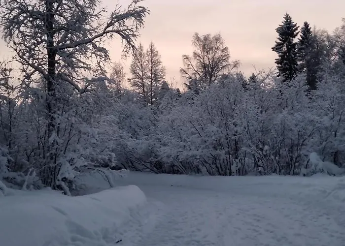Apartment Norva Saarenkylä