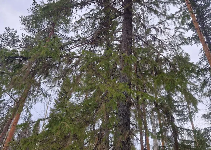 Apartment Norva Saarenkylä